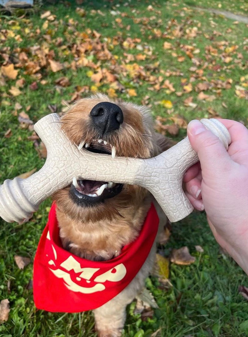 Yomp Barkin' Bone