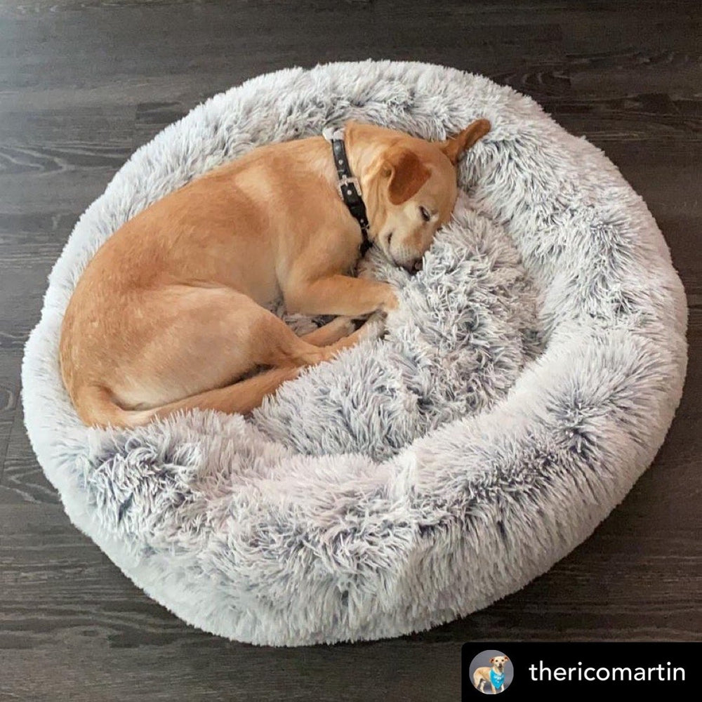 Mr. Peanut’s OrthoPlush® 28" Orthopedic Pet Bed – Luxuriously Soft, Vet-Designed Support for Dogs & Cats