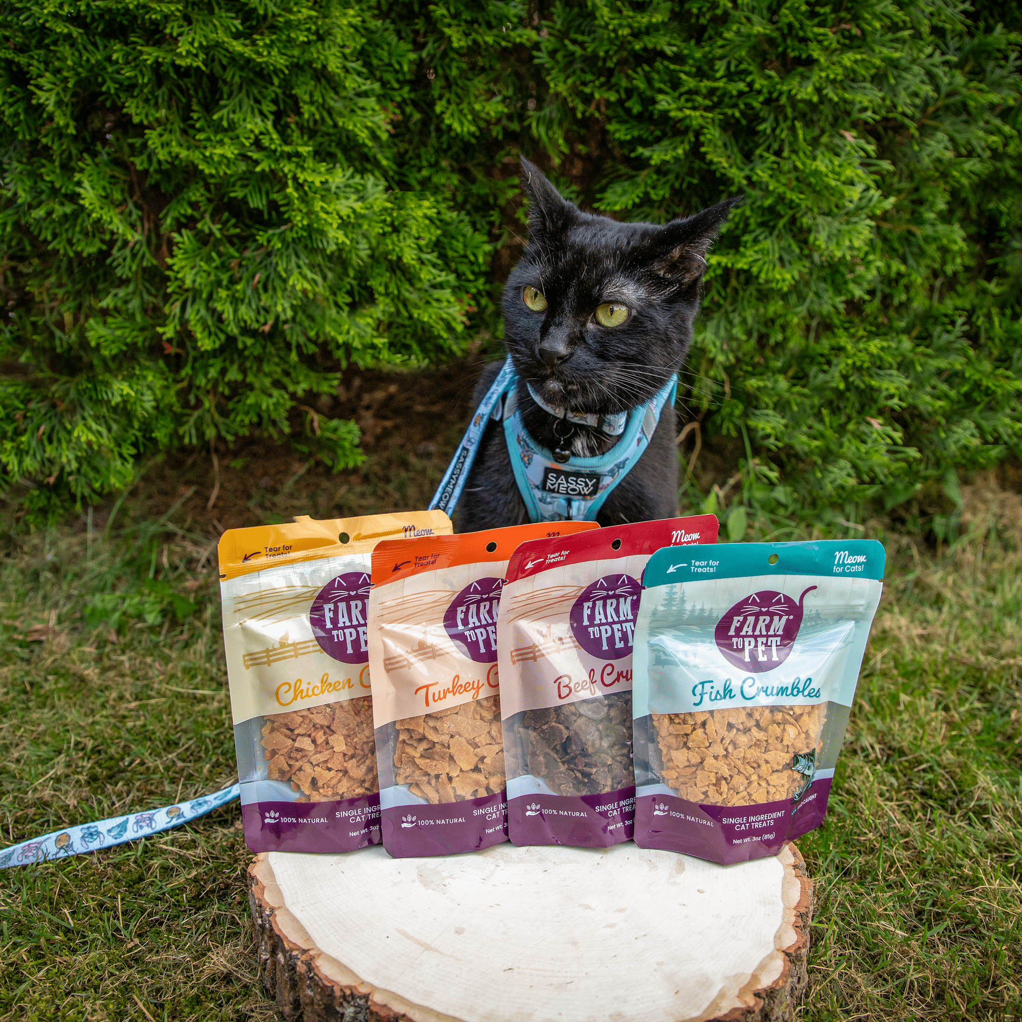 Farm to Pet Fish Crumbles – 100% Walleye Treats for Cats & Dogs | Single-Ingredient, Omega‑Rich Crunchy Bites