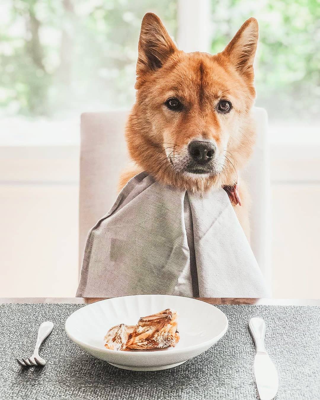 Whole Quail Treats for Dogs & Cats – Single Ingredient, Bone-In