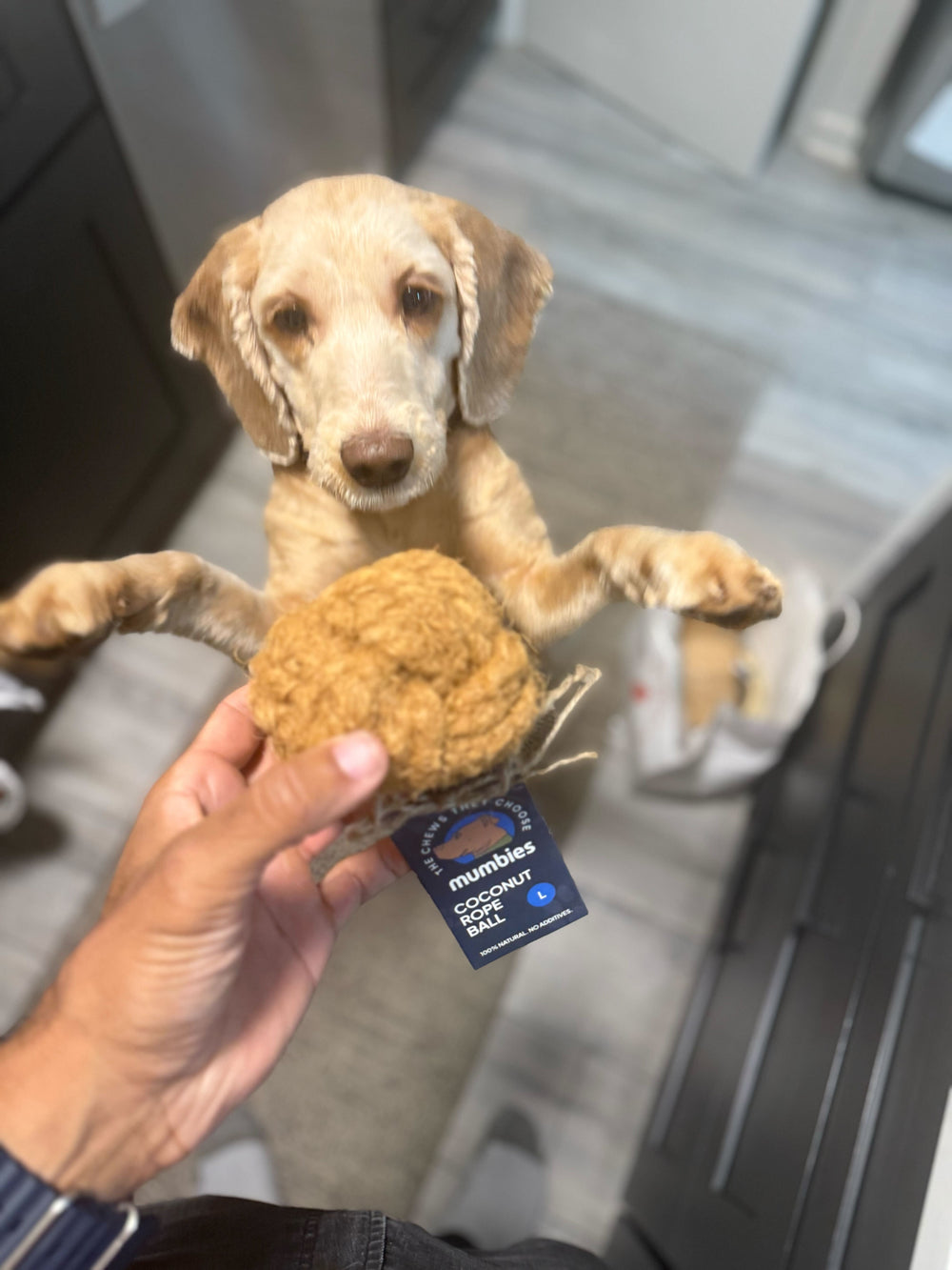 Mumbies Natural Coconut Rope Ball for Dogs – Eco-Friendly Braided Coconut Fiber Dog Toy for Chewing, Fetch & Dental Health