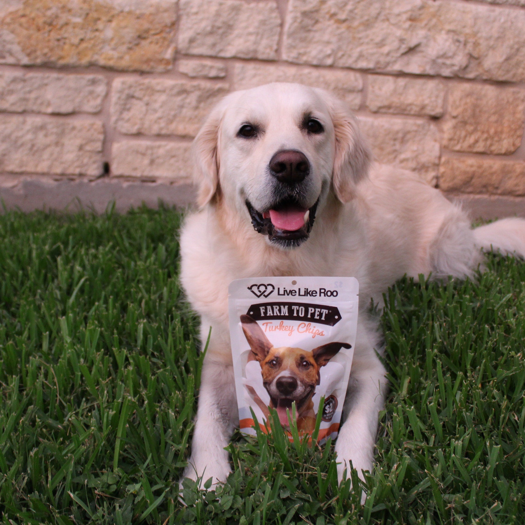 Live Like Roo Turkey Chips – Healthy Dog Treats That Support Canine Cancer Care
