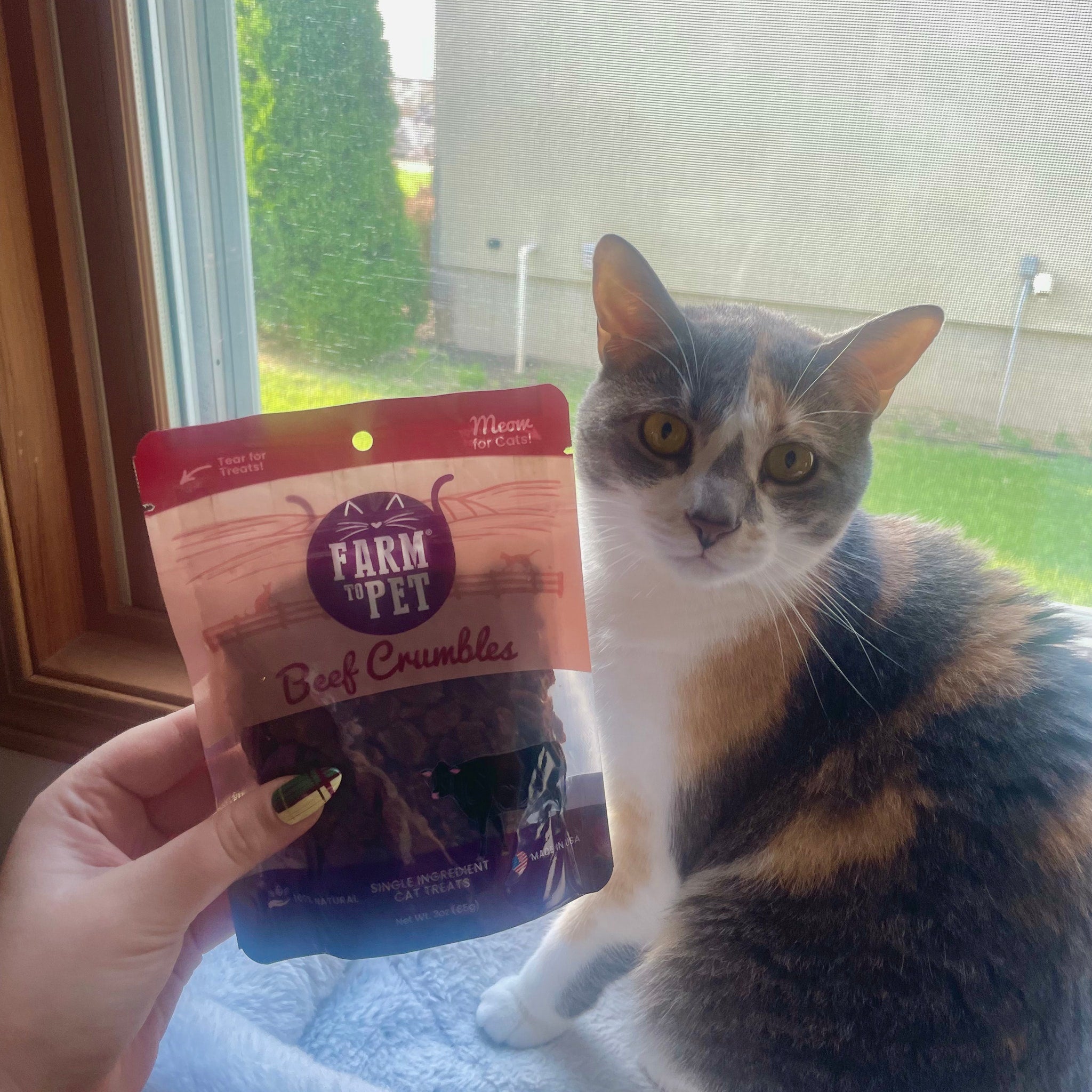 Beef Crumbles for Cats – 100% Single-Ingredient Protein Treats