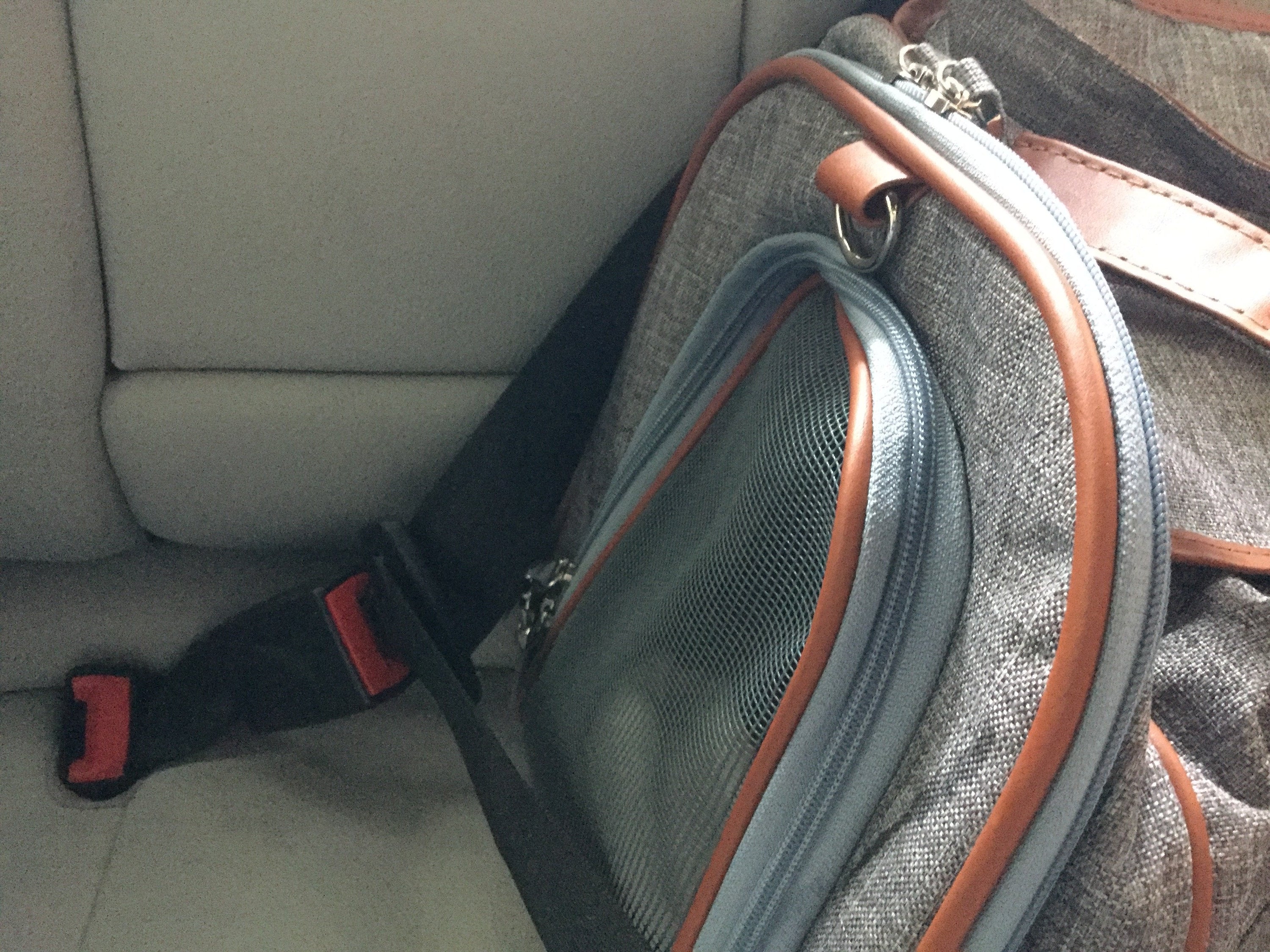Mr. Peanut's Gold Series Airline Approved Pet Carrier – Soft-Sided Travel Tote for Cats & Small Dogs, Fits Under Airline Seats