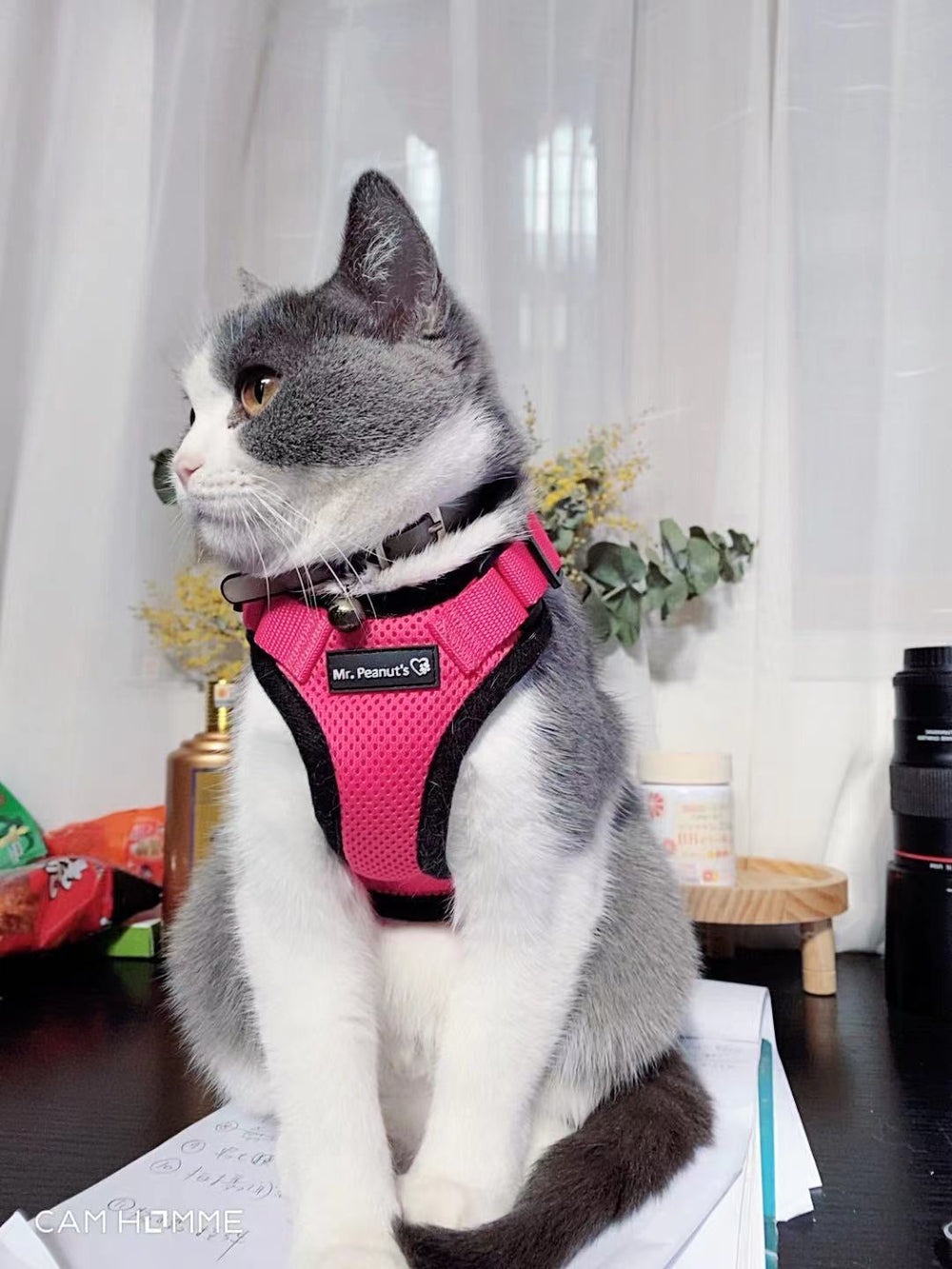 Reflective Cat Harness and Leash Set by Mr. Peanut’s – PurrTrek Escape-Proof Comfort