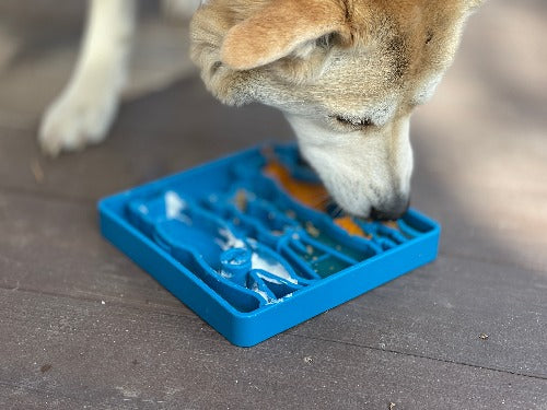 SodaPup Waiting Dogs eTray Slow Feeder – Enrichment Lick Mat & Puzzle Feeding Tray for Dogs