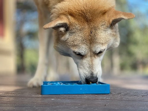 SodaPup Waiting Dogs eTray Slow Feeder – Enrichment Lick Mat & Puzzle Feeding Tray for Dogs