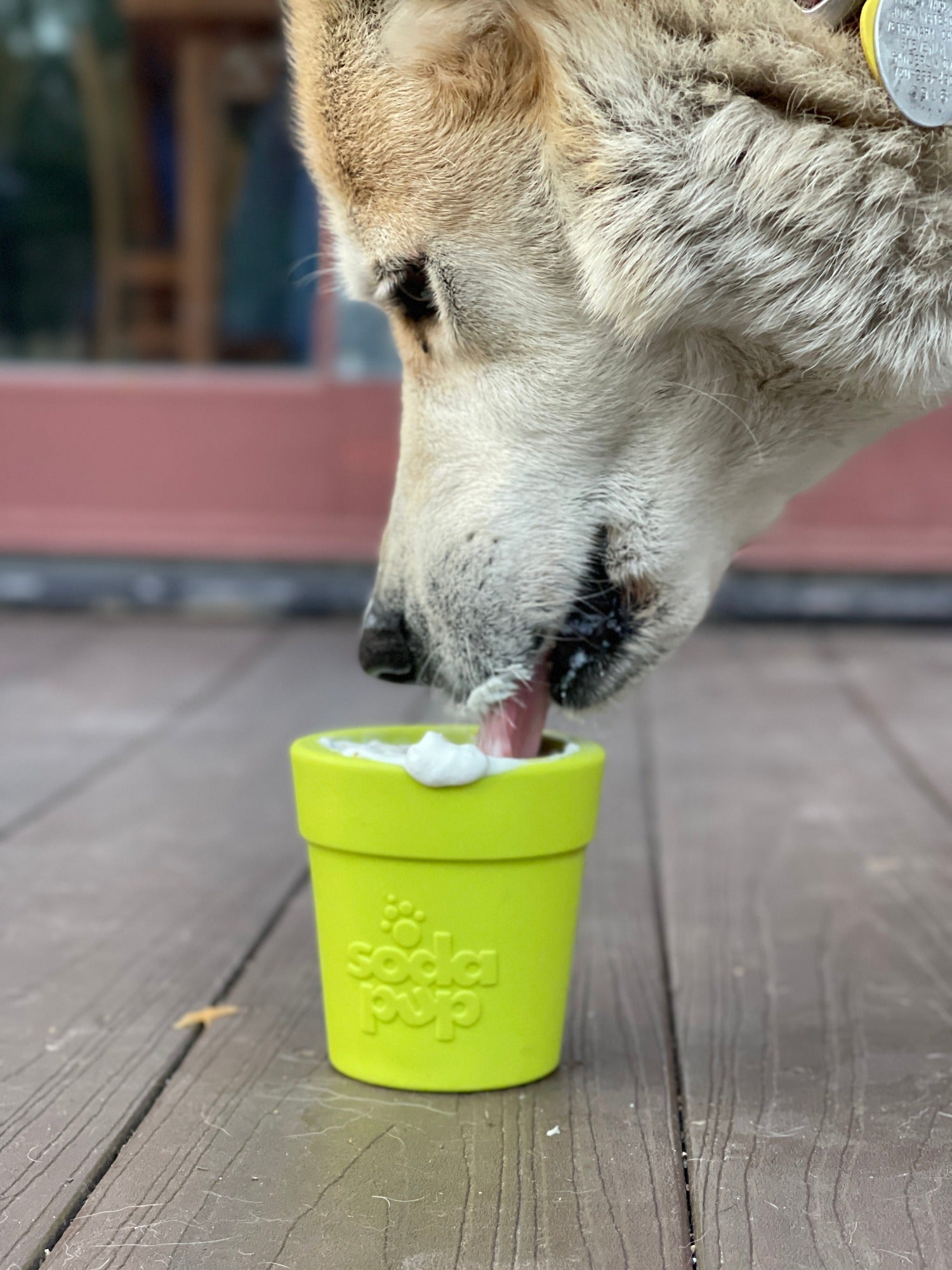 SodaPup Flower Pot Treat Dispenser for Dogs – Durable Rubber Enrichment Toy for Power Chewers