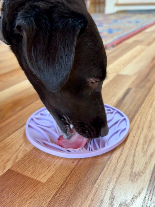 SodaPup Tulip Dog Lick Mat with Suction Cups – Slow Feeder, Enrichment & Anxiety Relief for Dogs
