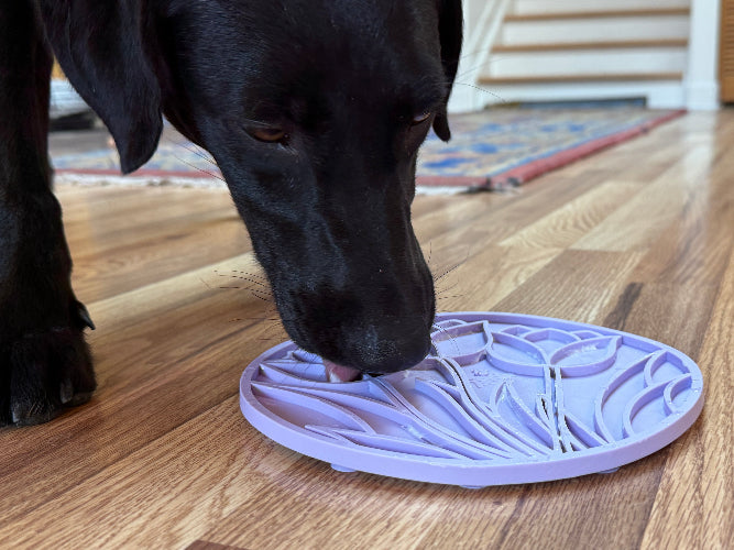 SodaPup Tulip Dog Lick Mat with Suction Cups – Slow Feeder, Enrichment & Anxiety Relief for Dogs