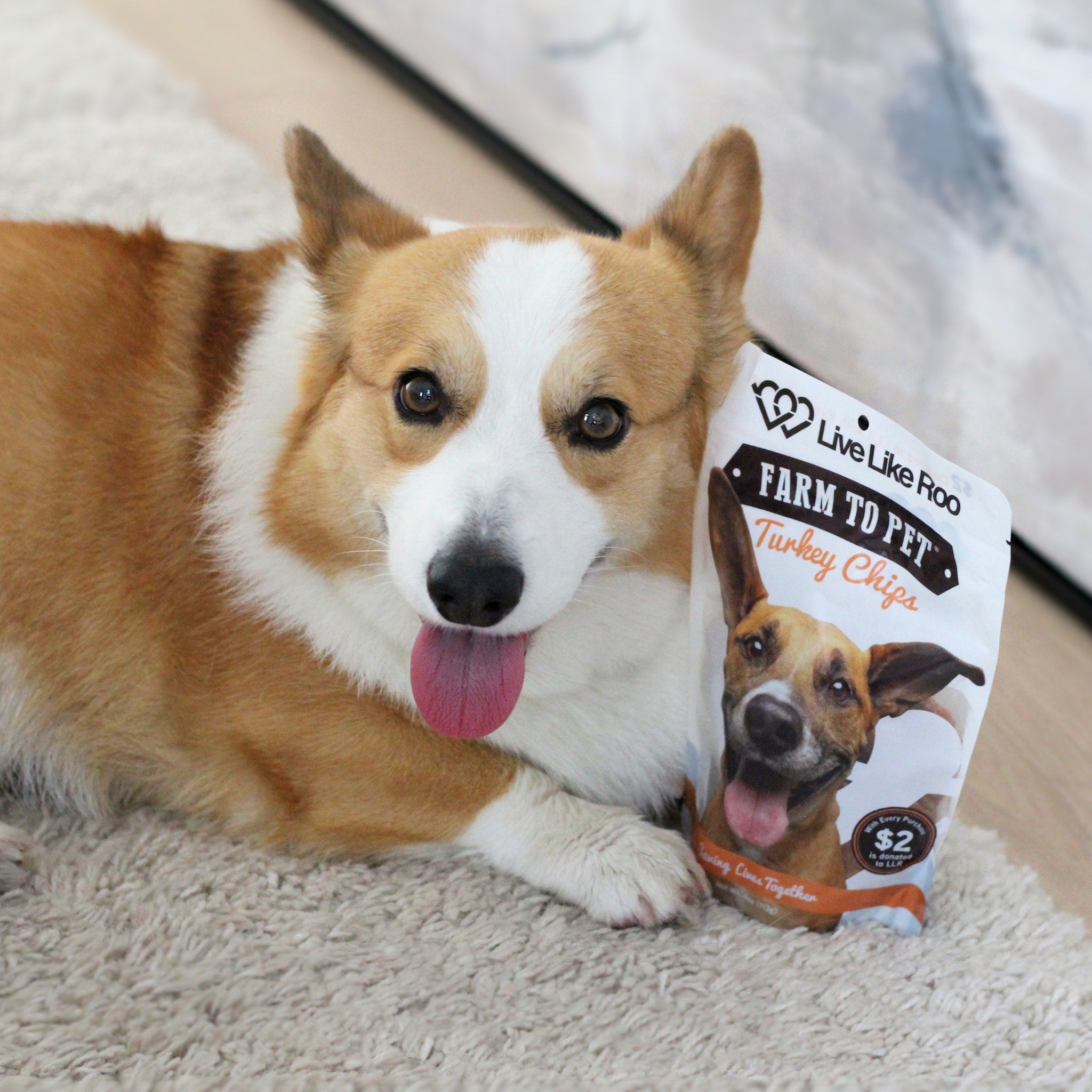 Live Like Roo Turkey Chips – Healthy Dog Treats That Support Canine Cancer Care