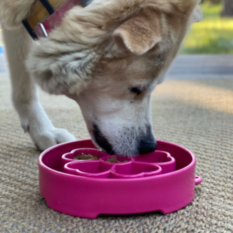 Flower Design eBowl – Slow Feeder Dog Bowl for Healthier Eating