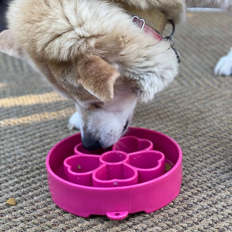 Flower Design eBowl – Slow Feeder Dog Bowl for Healthier Eating
