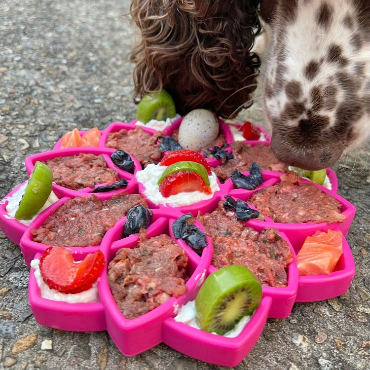 SodaPup Mandala Slow Feeder for Dogs – Enrichment Lick Mat & Puzzle Feeding Tray