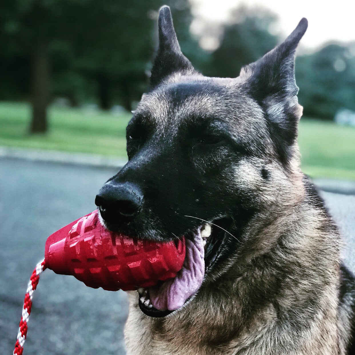 USA-K9 Grenade Dog Toy – Durable Natural Rubber Treat Dispensing Chew Toy for Aggressive Chewers