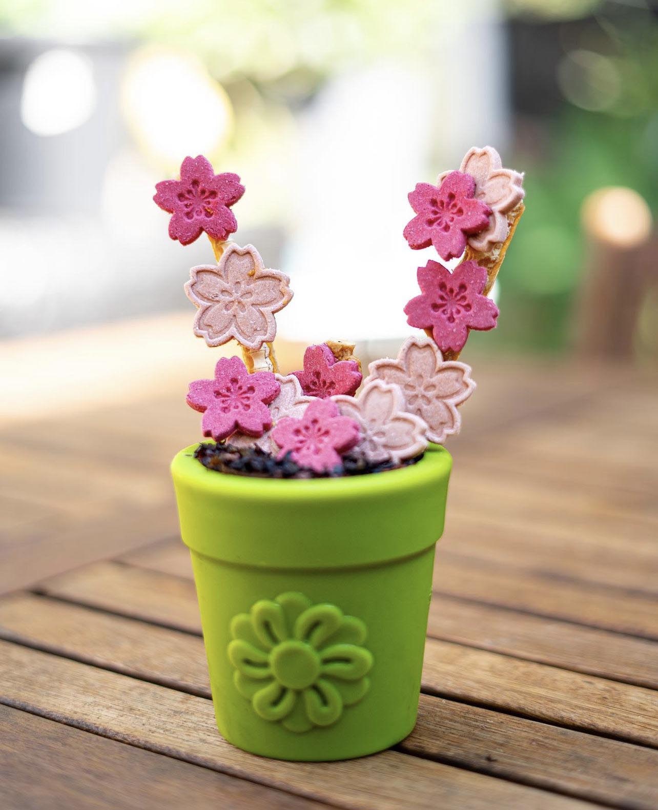 SodaPup Flower Pot Treat Dispenser for Dogs – Durable Rubber Enrichment Toy for Power Chewers