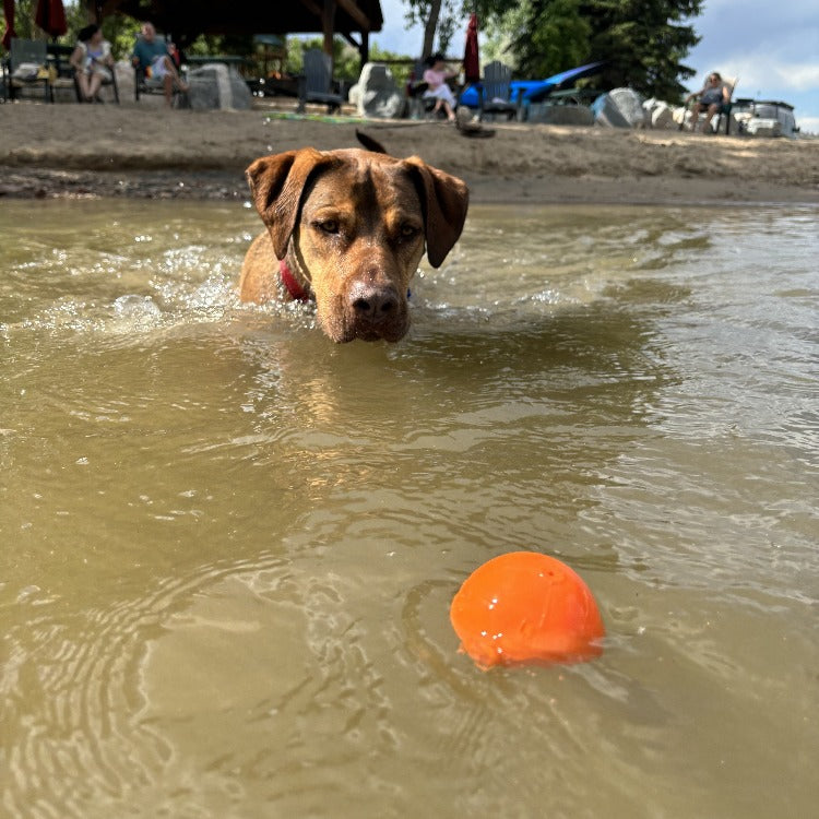 SodaPup Squeak Ball Dog Toy – Durable Floating Squeaky Fetch & Chew Toy (USA Made)