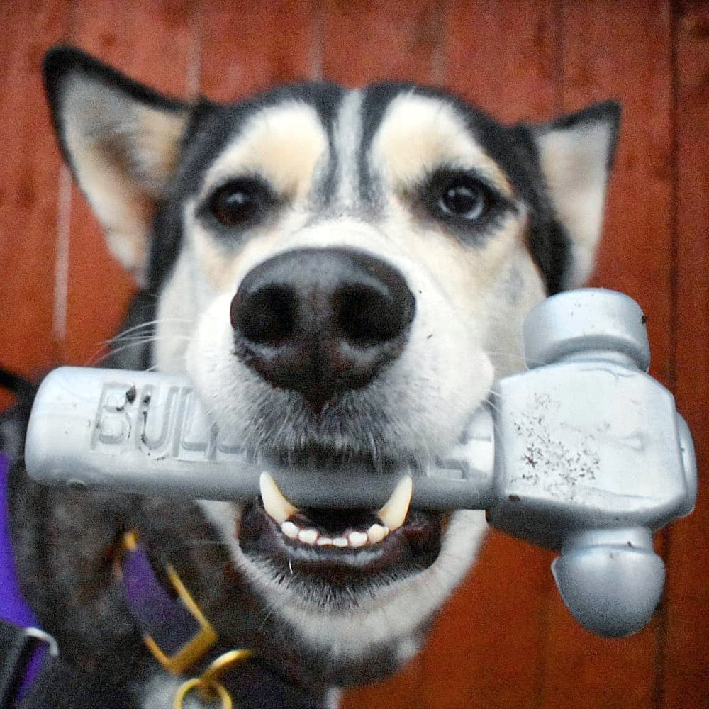 BULLYMAKE Toss ’N Treat Hammer – Beef-Flavored Durable Chew Toy for Power Chewers