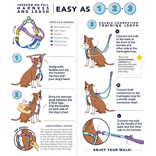 Sweet Sprinkles Double Connection Dog Leash – Eco-Friendly EarthStyle by 2 Hounds Design