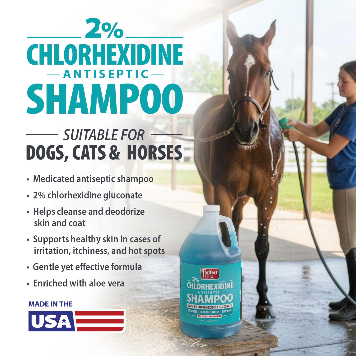 Jeffers 2% Chlorhexidine Medicated Shampoo – Antiseptic Skin & Coat Shampoo for Dogs, Cats & Horses