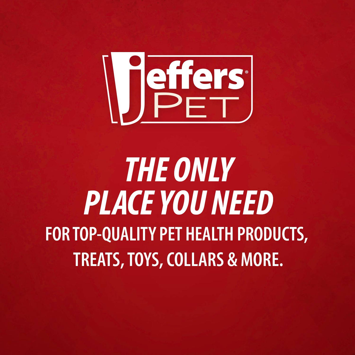 Jeffers Pet Tearless All-Purpose Coconut Oil Shampoo – 8:1 Concentrated Shampoo for Dogs & Cats