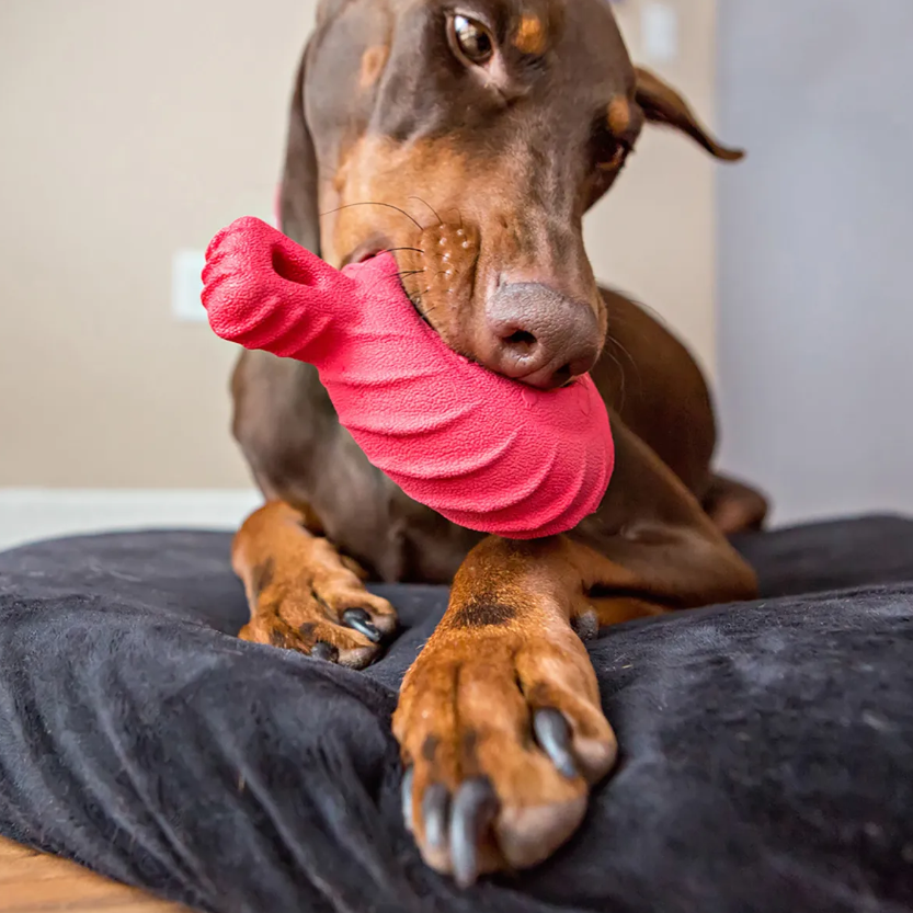 Jolly Pets Tuff Treader Durable Dog Chew Toy – Treat-Stuffable, Tough Rubber for Aggressive Chewers