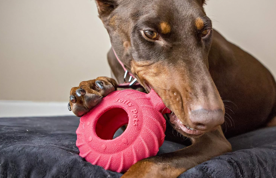 Jolly Pets Tuff Treader Durable Dog Chew Toy – Treat-Stuffable, Tough Rubber for Aggressive Chewers