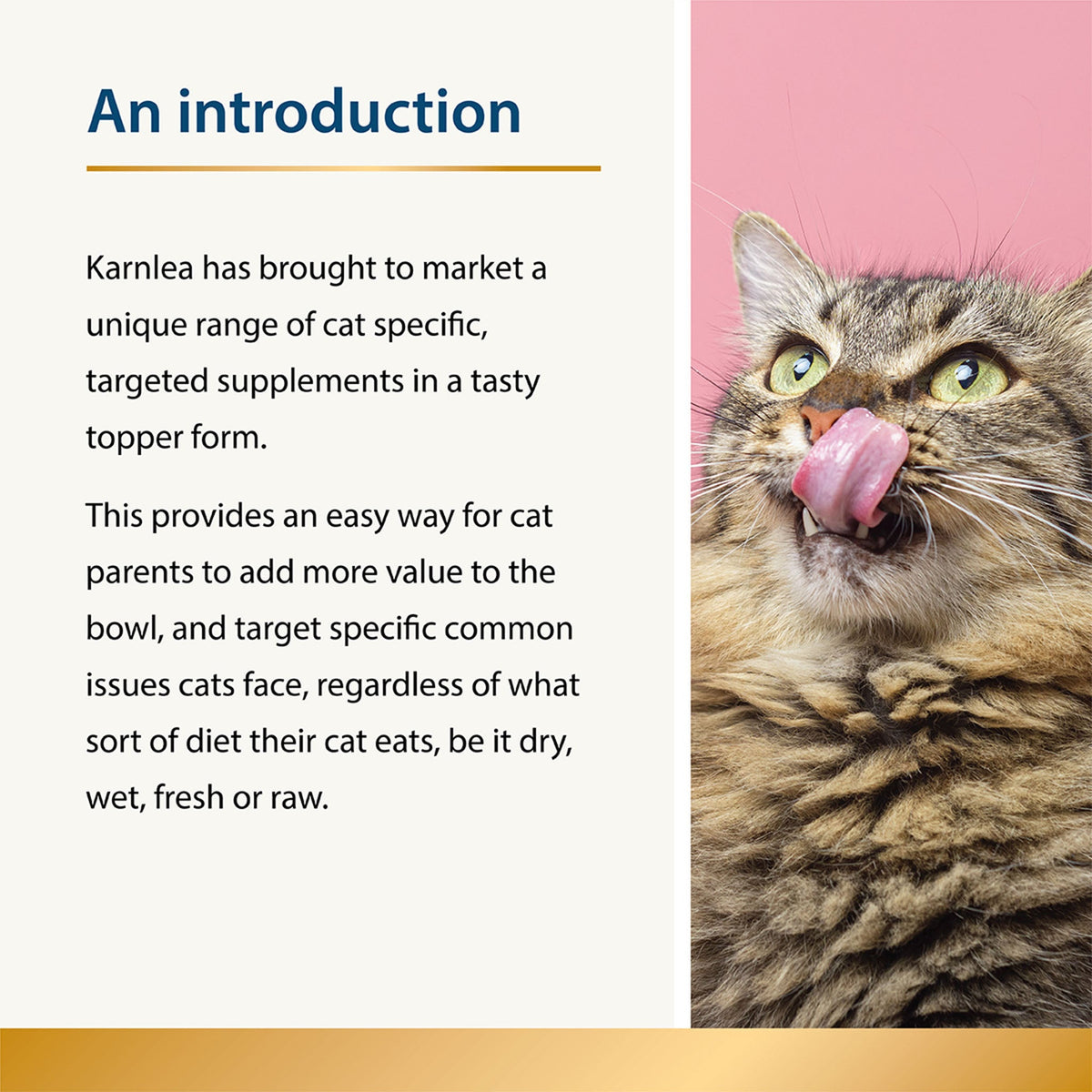Beauty Omega-3 Skin & Coat Supplement & Food Topper for Cats