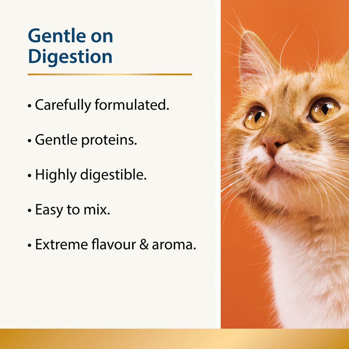 Beauty Omega-3 Skin & Coat Supplement & Food Topper for Cats