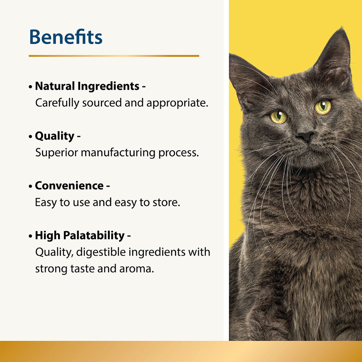 Beauty Omega-3 Skin & Coat Supplement & Food Topper for Cats