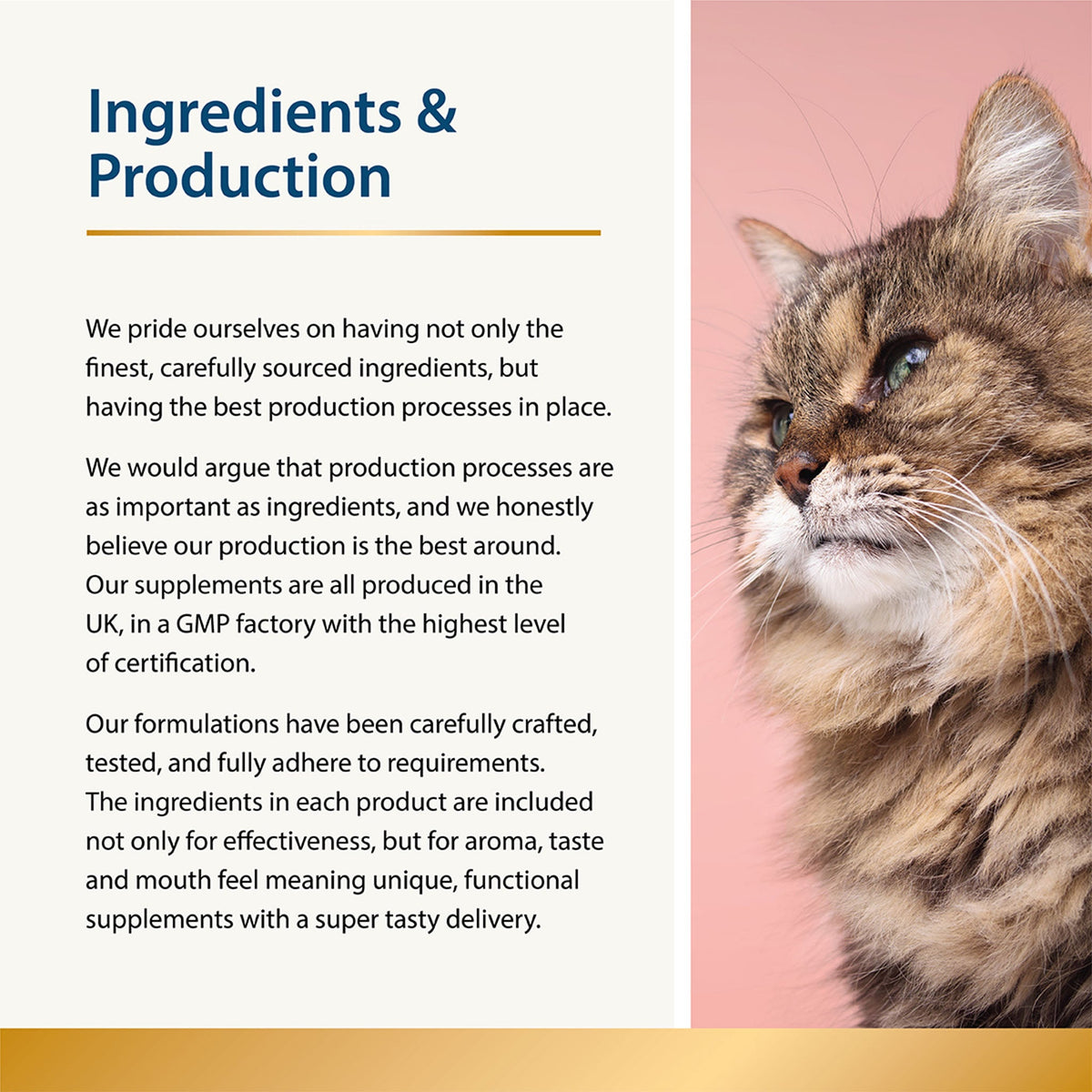 Beauty Omega-3 Skin & Coat Supplement & Food Topper for Cats