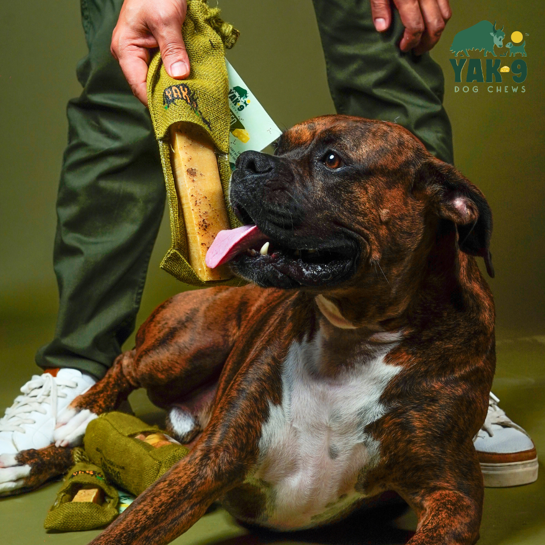 Yak9 Flaxseed & Mint Yak Cheese Dog Chews – Long-Lasting Natural Chews for Digestion & Fresh Breath