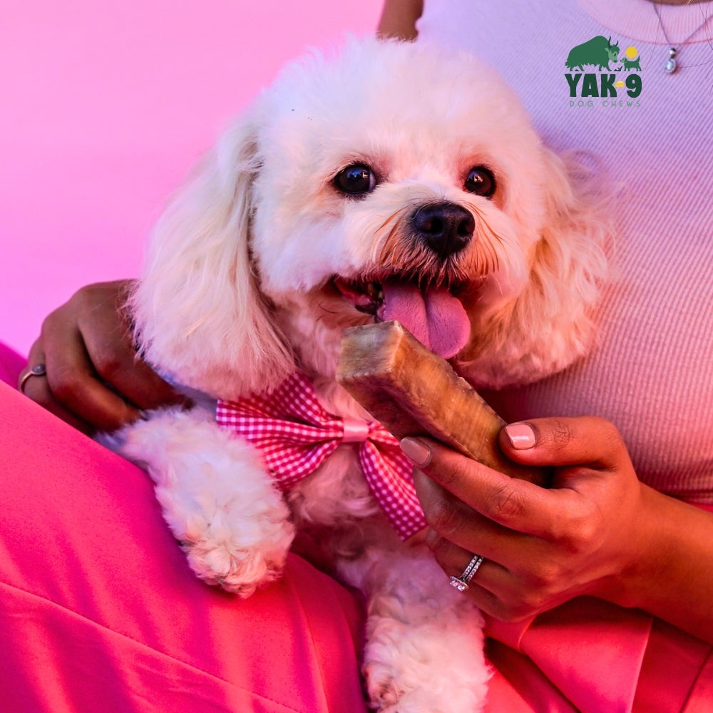 Yak9 Strawberry Yak Cheese Dog Chews – Long-Lasting Natural Chews for Immune & Skin Health