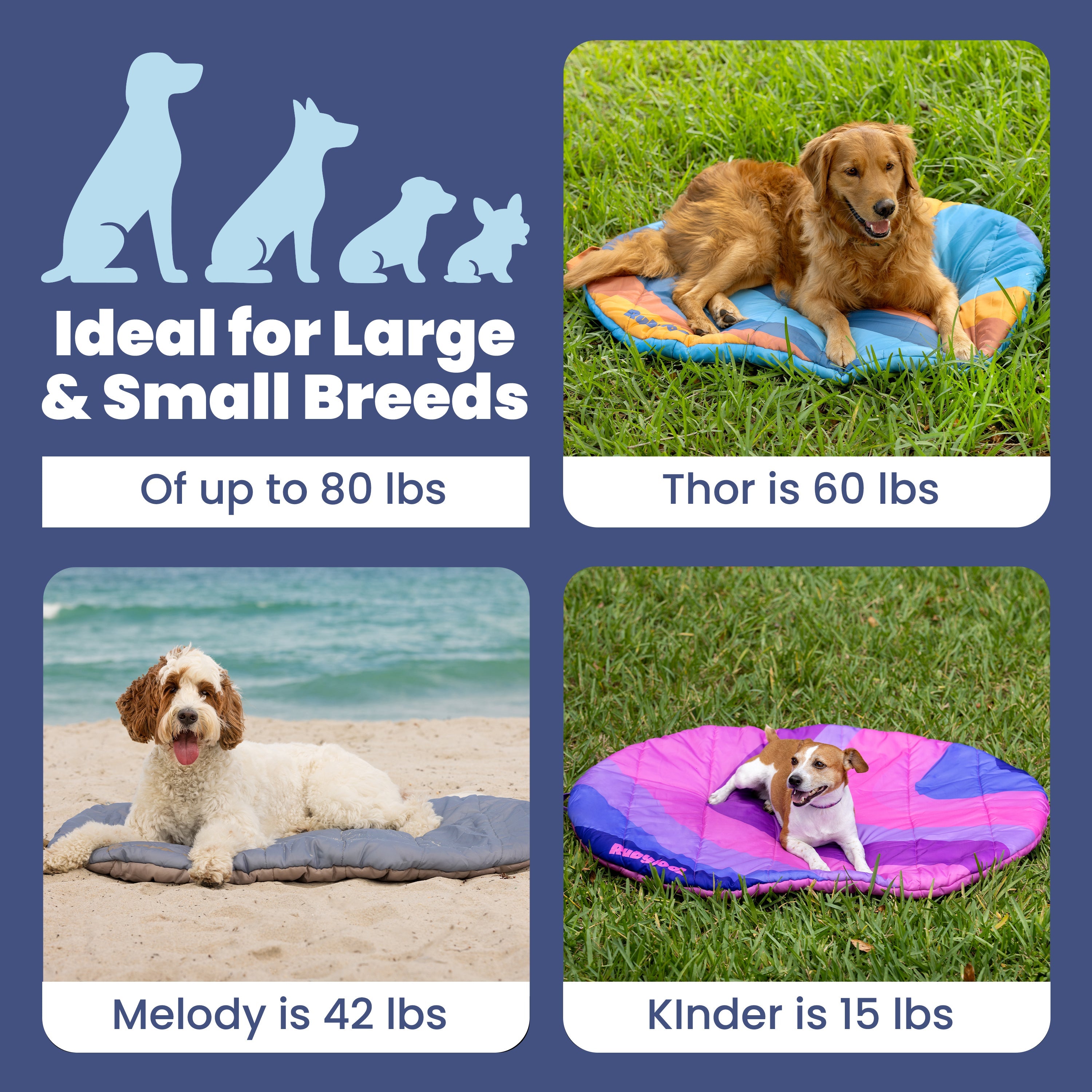Portable Travel Dog Bed for Camping & Car Trips – Waterproof Roll-Up Pet Mat with Carry Bag