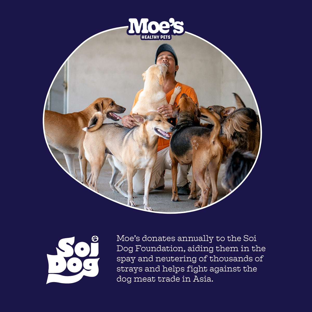 Moe’s Hip & Joint Soft Chews – Glucosamine Joint Support Supplement for Dogs