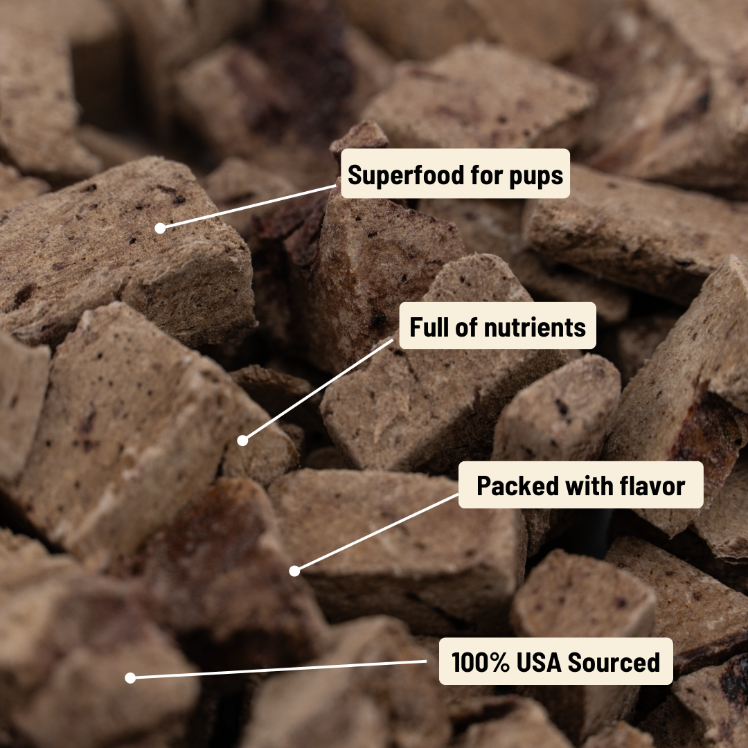 Mumbies Yummies Freeze-Dried Bison Liver Dog Treats – High-Protein Single-Ingredient Raw Organ Meat Made in the USA