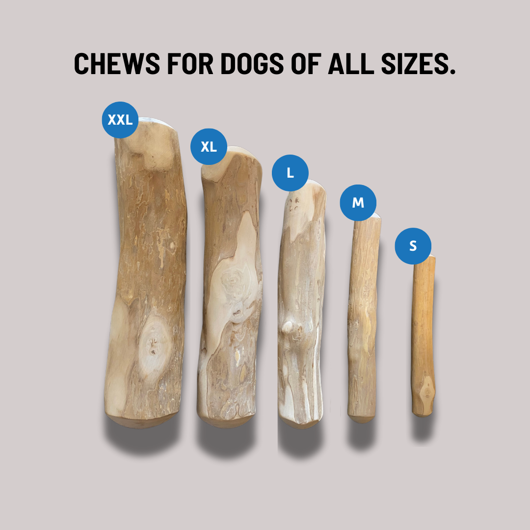 Mumbies Coffee Tree Wood Chew – Safe, Splinter-Resistant Natural Dog Chew