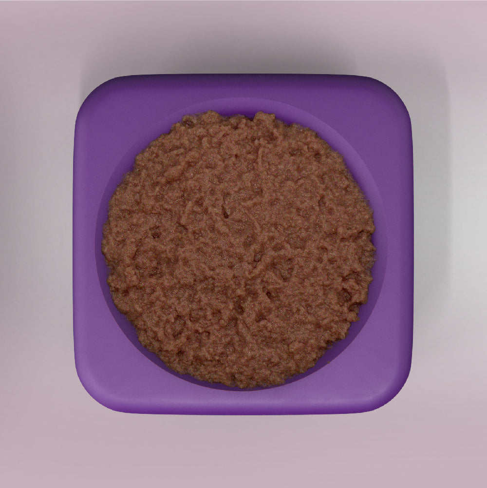 Freezbox Super Tough Treat Toy – Durable Freezable Chew for Power Chewers