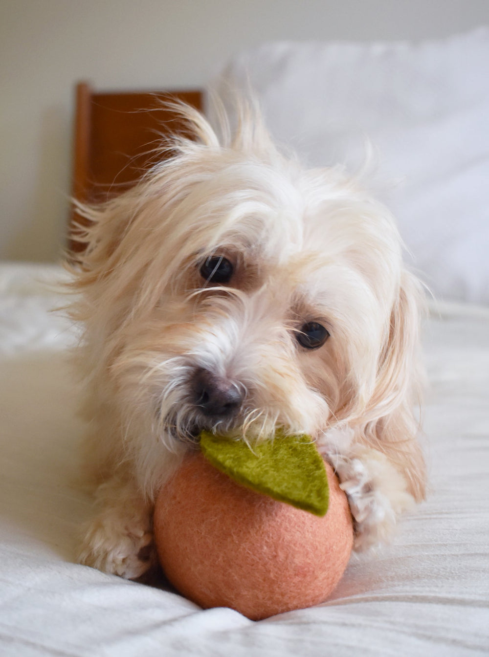 MB Wool Peach Dog Toy – 100% Natural Wool