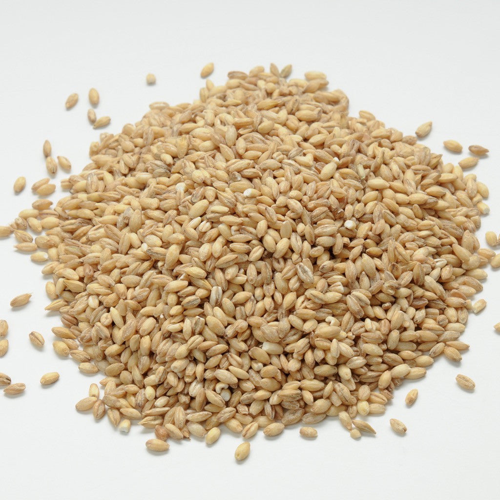 Original Base-Mix – Whole Grain Homemade Dog Food Blend with Nutrient Supplement
