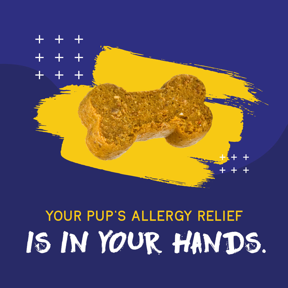 PupGrade™ Itch & Allergy Relief Chews for Dogs – Skin, Coat & Immune Support