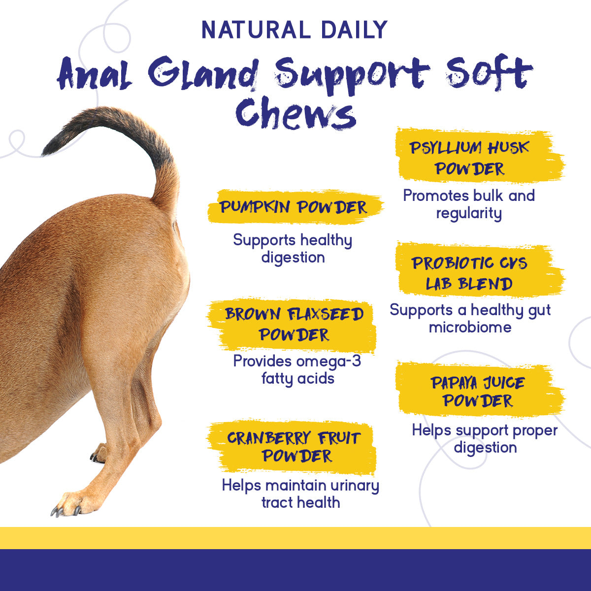 PupGrade Anal Gland Support for Dogs – Fiber, Probiotics & Digestive Enzymes