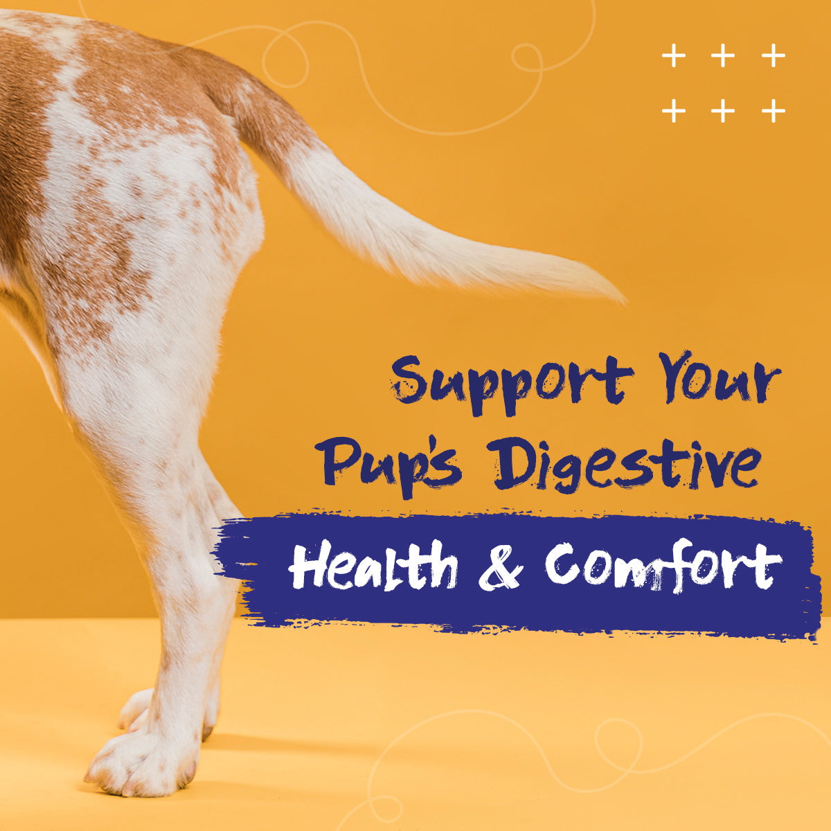 PupGrade Anal Gland Support for Dogs – Fiber, Probiotics & Digestive Enzymes
