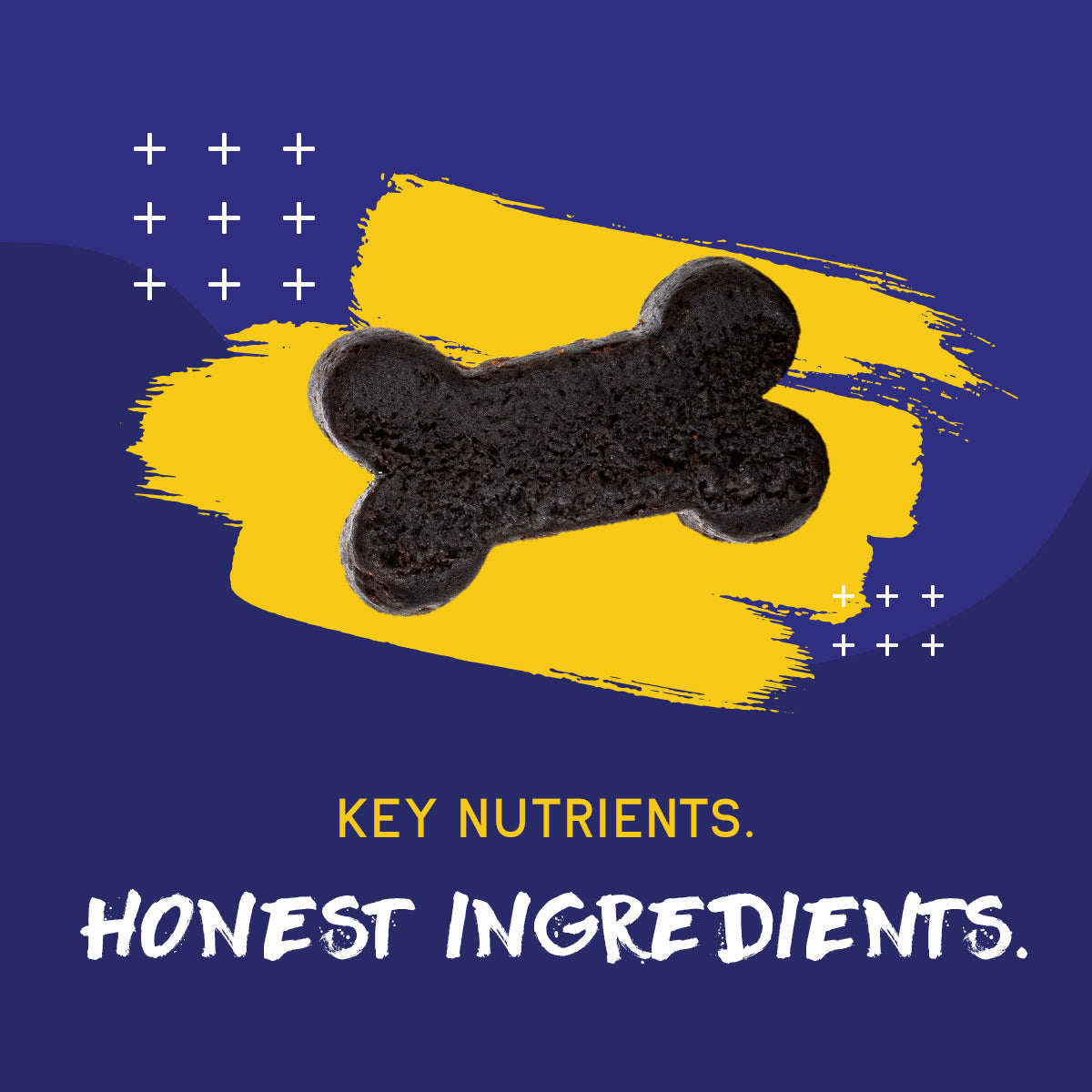 Complete Daily Multivitamin Soft Chews for Dogs & Puppies