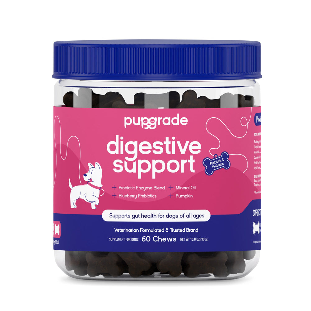 PupGrade Digestive Chews for Dogs – Probiotics, Pumpkin & Enzymes