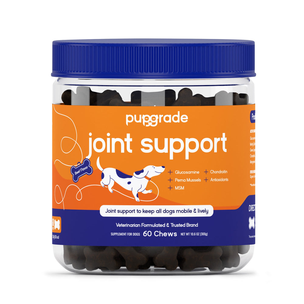 PupGrade Joint Support for Dogs – Hip & Joint Relief with Glucosamine & MSM