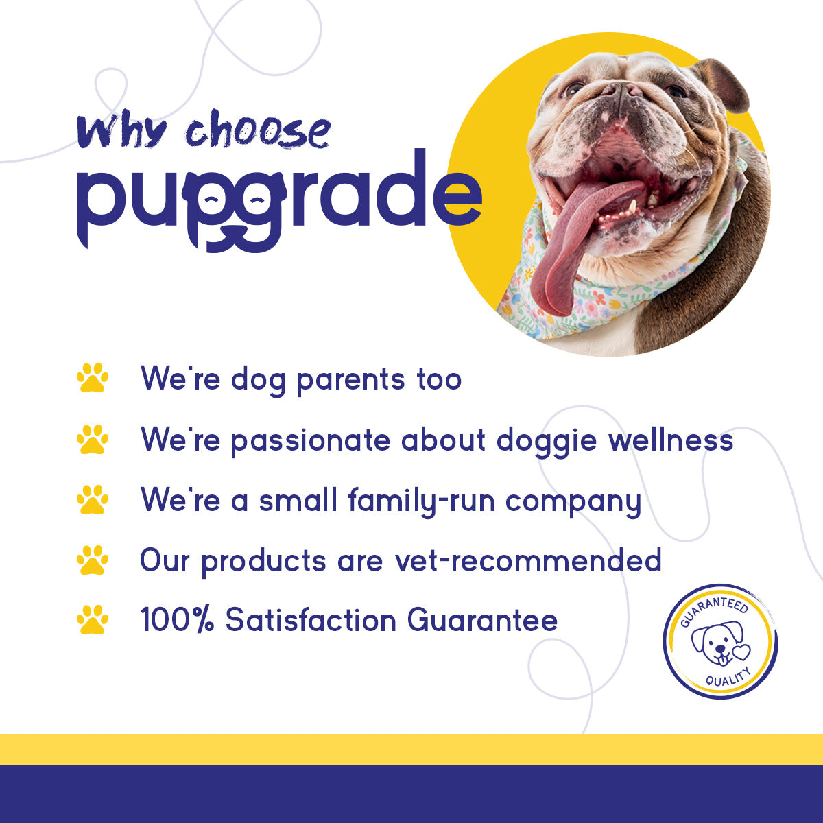 PupGrade Joint Support for Dogs – Hip & Joint Relief with Glucosamine & MSM