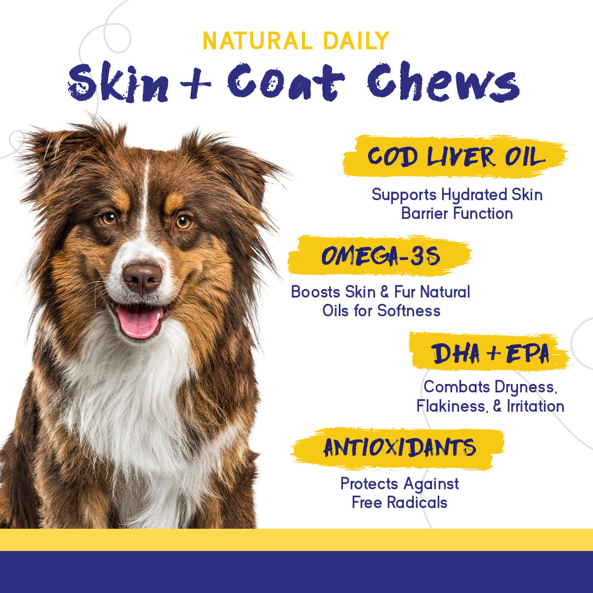 Skin & Coat Chews for Dogs – Omega-3, Fish Oil & Vitamin E Supplement