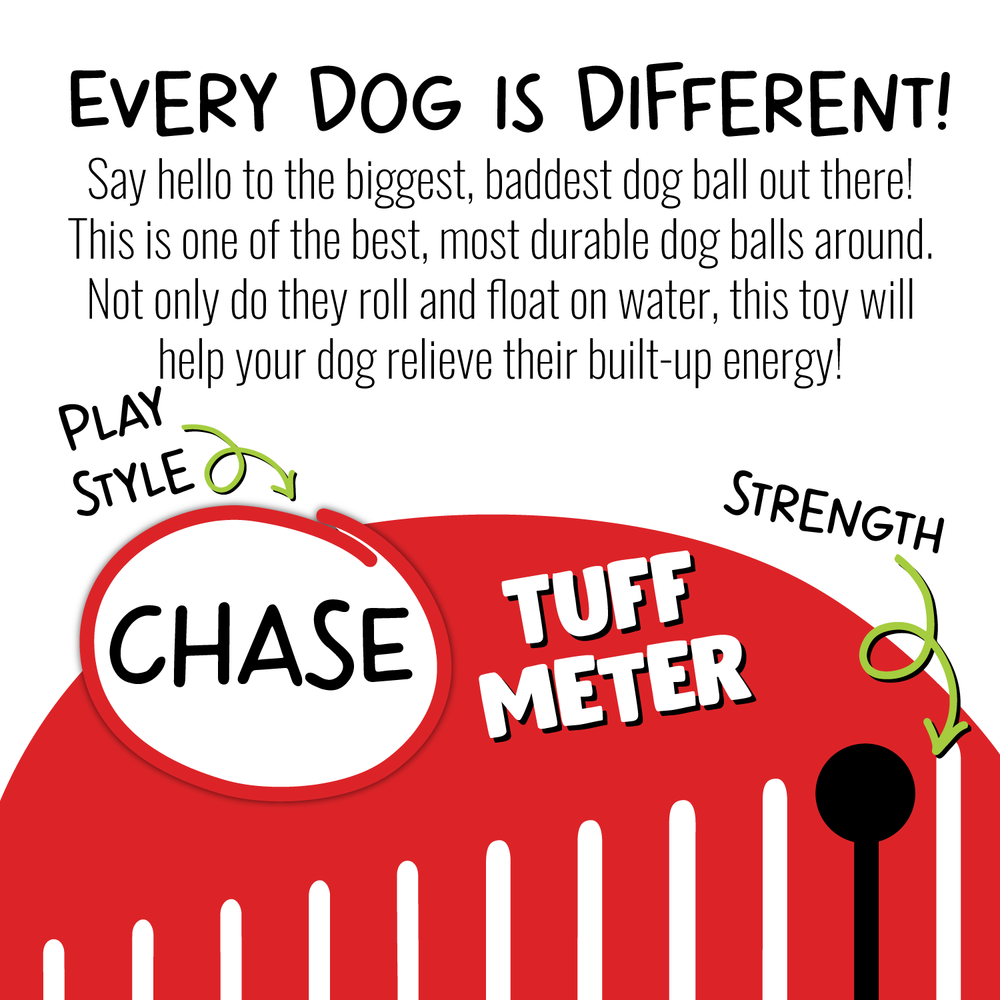 Jolly Pets Push-n-Play Durable Dog Ball – Tough Rolling & Floating Toy for Active Dogs