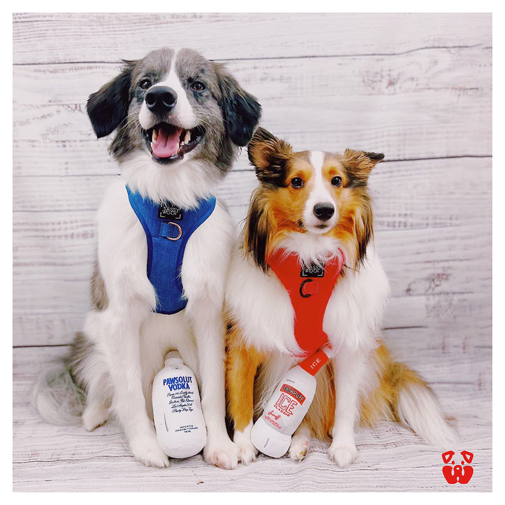 Pawty Smirruff Ice Plush Squeaky Dog Toy – Funny Novelty Fetch Toy for Dogs